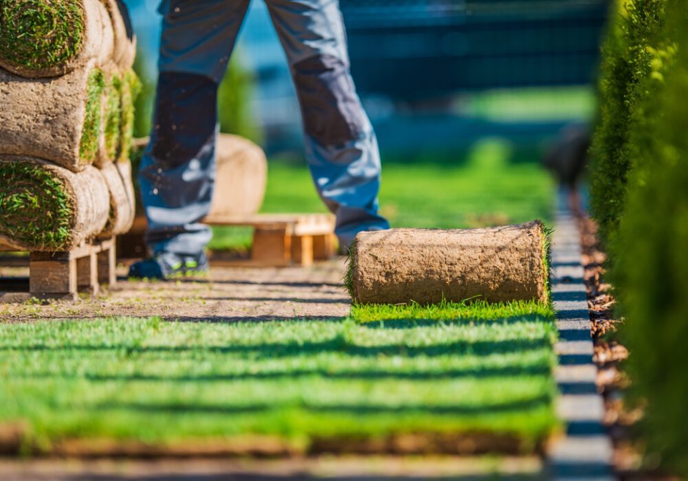 Grass Installation F